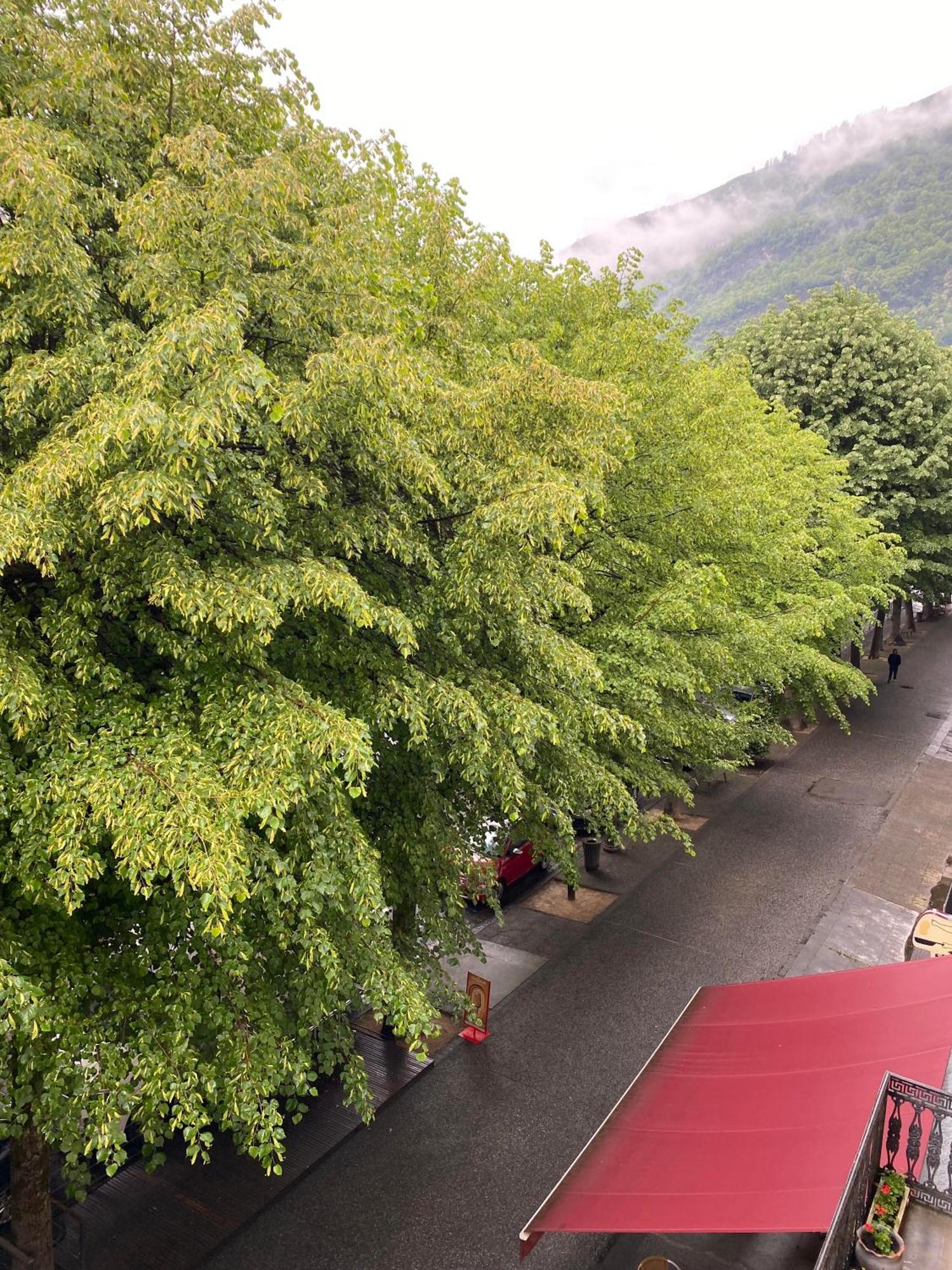 Au 47 Allees D'Etigny - Central & Standing - Avec Parking - Linge De Lit Et De Toilette Inclus Bagnères-de-Luchon Eksteriør bilde